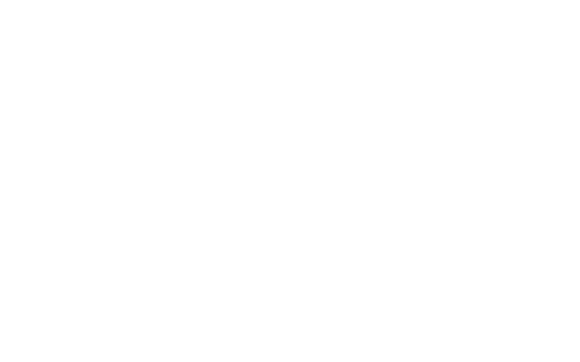 logotipo plaza 14 blanco