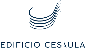 logo cesaula zaragoza